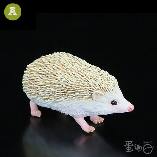 不思議的寵物收藏集 蛋舖 線上轉蛋就素快