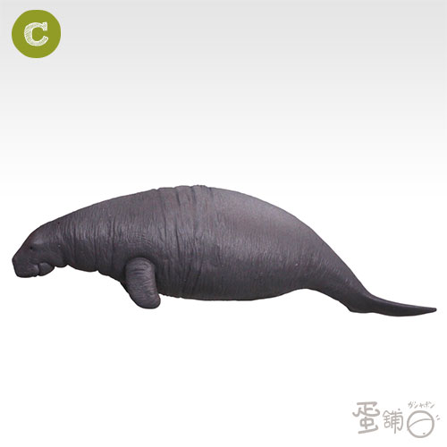 不思議生物大百科 絕種動物篇 蛋舖 線上轉蛋就素快