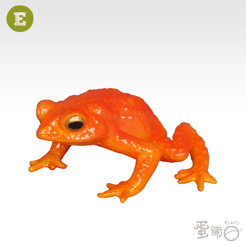 不思議生物大百科 絕種動物篇 蛋舖 線上轉蛋就素快