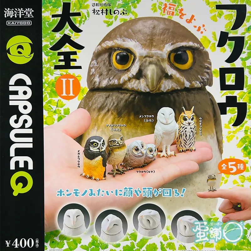 貓頭鷹 谷仓猫头鹰纽约野生动物公园猛禽- Pixabay上的免费照片