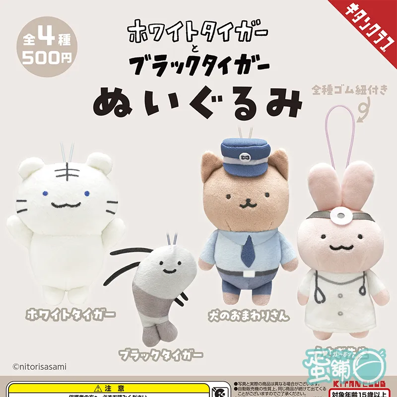 「開運白龍」天然法螺貝　約38cm