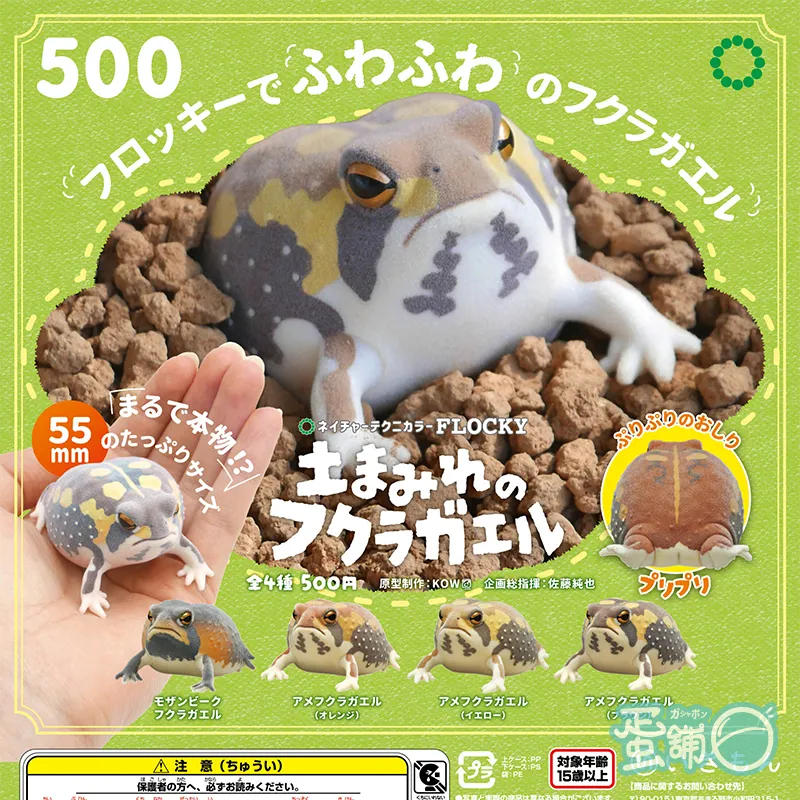 蛙出品 蛙庵 on X: 